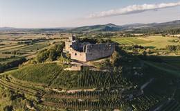 Burg Staufen - hier wächst badischer Wein